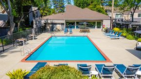 Walnut Creek apartment for rent - A swimming pool surrounded by chairs and trees.