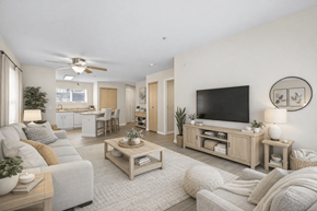 Seattle apartment for rent - A living room with a grey couch, a wooden coffee table, and a flat screen TV mounted on the wall.