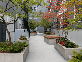 Bellevue apartment for rent - A concrete walkway with planters on either side.