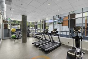 Seattle apartment for rent - a gym with treadmills and other exercise equipment  at Sedona Apartments, Seattle