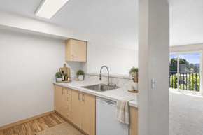 Seattle apartment for rent - A kitchen with a sink and a window.