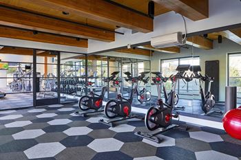 Yoga & spin studio
