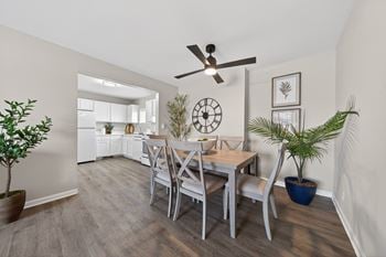 Ceiling fan