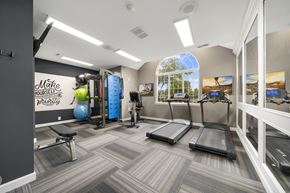 Canton apartment for rent - A gym with treadmills, exercise balls, and a wall mural.