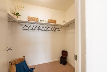 Large walk-in closet