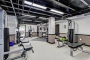 Arlington apartment for rent - A gym with a variety of equipment including a squat rack, bench, and weights. at Park Georgetown Apartments, Arlington, VA