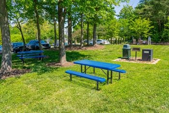 Picnic area