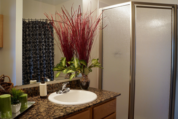 Stand up shower in bathroom 