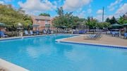 Leesburg apartment for rent - A large swimming pool with a blue tiled edge and a sun lounger area with blue sunshades.