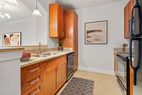 Fayetteville apartment for rent - a kitchen with wooden cabinets and a sink and a refrigerator at The Villagio Apartments, North Carolina, 28303