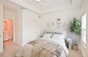 Manassas apartment for rent - A bedroom with a large bed and a plant on the side table. at Barrington Park Apartments, Manassas