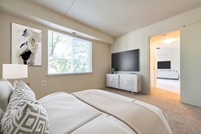 Leesburg apartment for rent - Cozy bedroom at Tuscarora Creek, Leesburg, Virginia