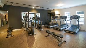 Chicago apartment for rent - a gym with cardio equipment and weights on a wood floor