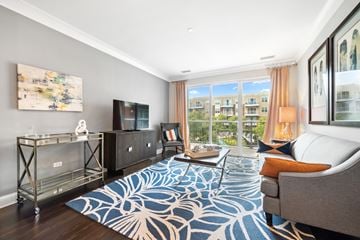 Deerfield apartment for rent - A living room with a grey couch and a large rug.