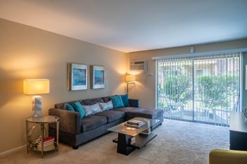 Living room with gray sectional and large windows