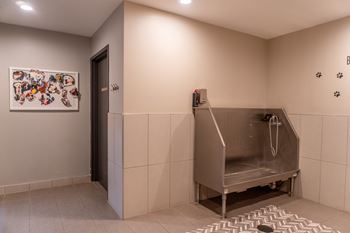 Pet grooming station with stainless steel tub