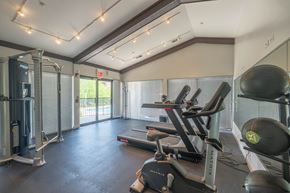 Mount Prospect apartment for rent - Fitness center with treadmills exercise bikes and stability balls at Forest Cove Apartments, Illinois, 60056