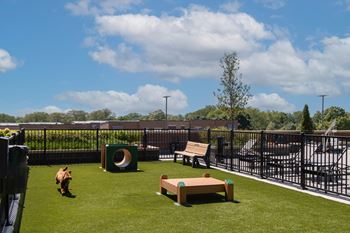 Bark park