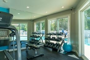 Schaumburg apartment for rent - A gym with a treadmill, weights, and exercise balls.
