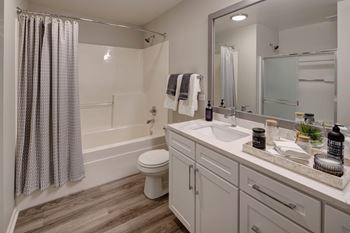 Bathroom vanity with mirror and wood style flooring