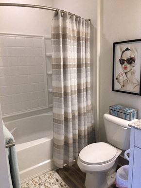 Asheville apartment for rent - Bathroom