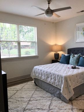 Asheville apartment for rent - Bedroom