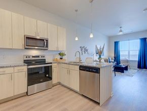 Denver apartment for rent - a kitchen with stainless steel appliances and a counter top