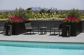 West Hollywood apartment for rent - A pool with chairs and flowers in pots with a city in the background.