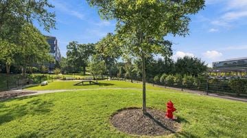 Florham Park apartment for rent - AVE Florham Park