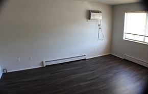 Durand apartment for rent - an empty living room with wood floors and a dryer on the wall