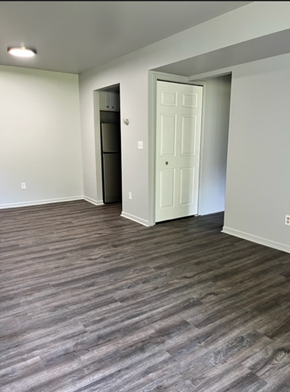 Clio apartment for rent - an empty living room with wood flooring and a white door