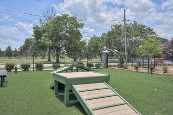 Ramp in dog park