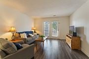 Augusta townhouse for rent - A living room with a grey couch, a wooden coffee table, a lamp, a TV, and a window with a view of trees.