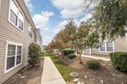Augusta townhouse for rent - A tree with red leaves is in the middle of a grassy area between two buildings.