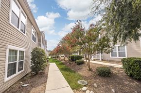 Augusta townhouse for rent - A tree with red leaves is in the middle of a grassy area between two buildings.
