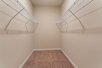Empty walk-in closet with shelves and carpeted floor