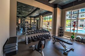 Charlotte apartment for rent - fitness weights at The Collective NoDa, North Carolina