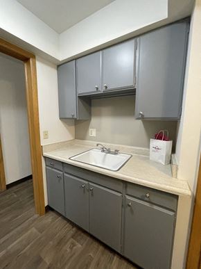 Milwaukee apartment for rent - a kitchen with a sink and a bag on the counter