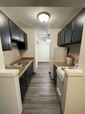 Milwaukee apartment for rent - a kitchen with black cabinets and white appliances