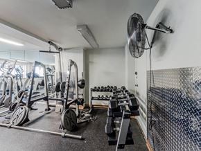 Chicago apartment for rent - Grace Shores - Fitness Room
