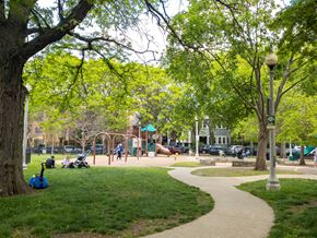 Chicago apartment for rent - a park with green grass and trees and a playground in the background