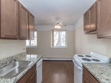 Chicago apartment for rent - a kitchen with a stove and a sink
