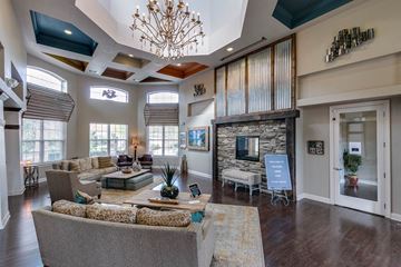 Murfreesboro apartment for rent - a living room with couches and a fireplace