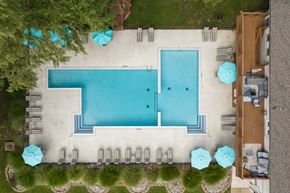 St. Louis apartment for rent - A large swimming pool surrounded by lounge chairs and umbrellas.