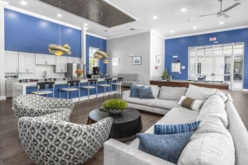 Jacksonville apartment for rent - A modern living room with a grey sofa and a patterned armchair.