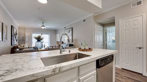 Lewisville apartment for rent - Sink With Faucet at Highland Luxury Living, Lewisville