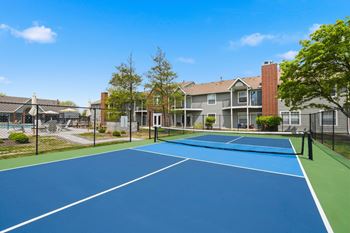 Professional-grade pickleball court
