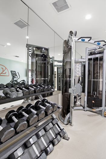 Free weights zone