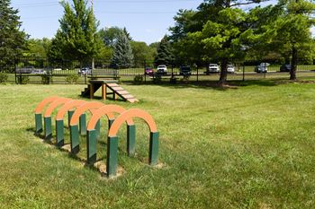 Dog park