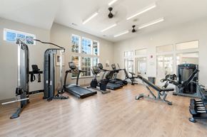 Aurora apartment for rent - A gym with a variety of equipment including treadmills, weights, and exercise machines.